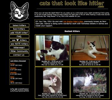 oddest websites|30+ Weird Websites to Confuse & Entertain You .